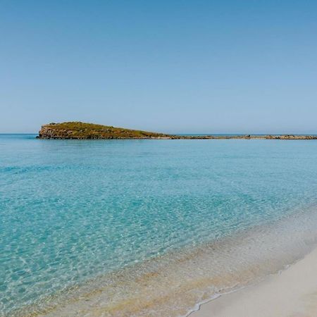 Narcissos Nissi Beach Apartment C16 Ayia Napa Exteriör bild
