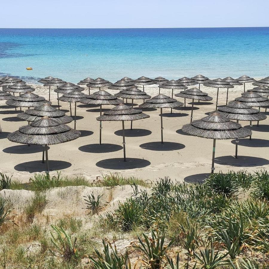Narcissos Nissi Beach Apartment C16 Ayia Napa Exteriör bild